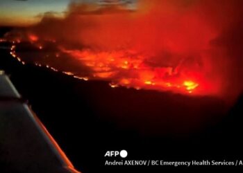 Incendios forestales sitúan a Canadá entre los cuatro principales emisores de CO2