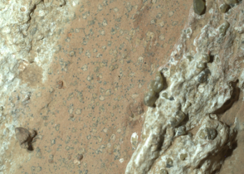 Róver de la NASA halla en Marte roca que puede contener vida microscópica antigua