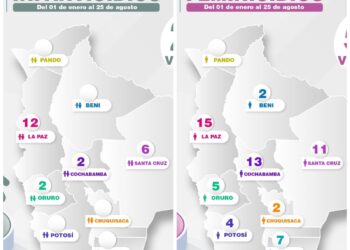Datos sobre los casos de feminicidios e infanticidios en el país.