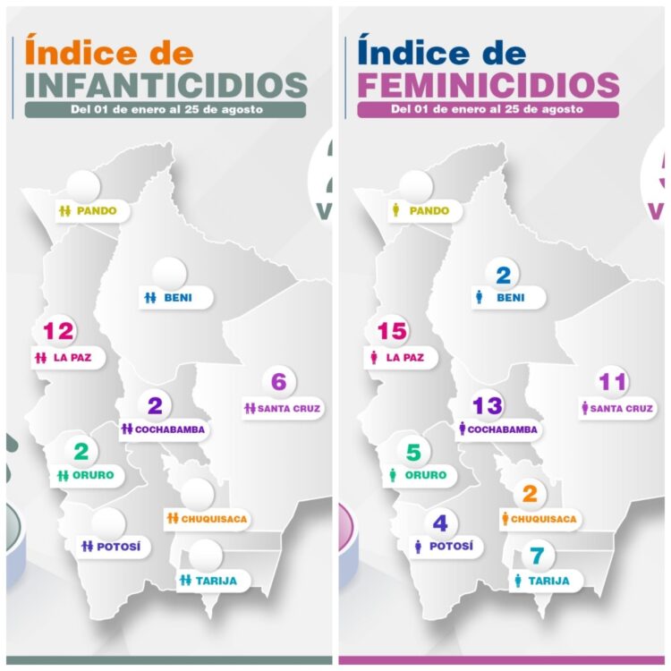 Datos sobre los casos de feminicidios e infanticidios en el país.