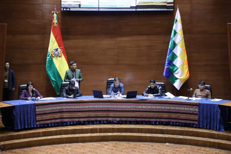Con la disidencia de Choquehuanca, resolución da plazo a Arce para promulgar ley para cesar a magistrados