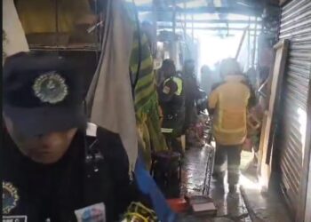 El personal de la Policía y Bomberos en el rescate de los animales.