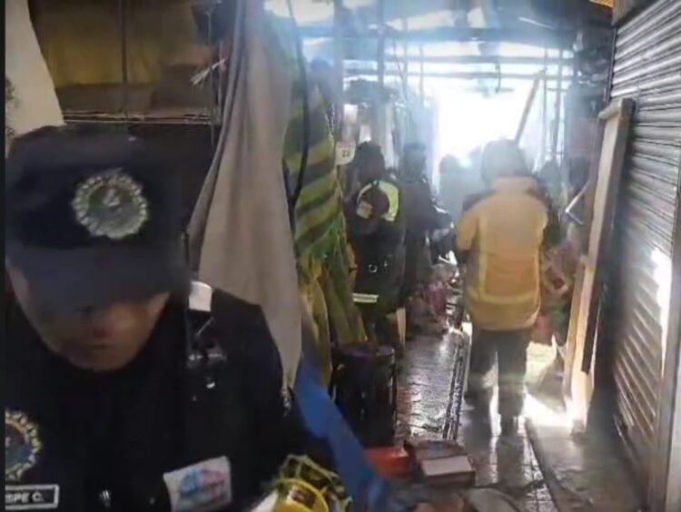 El personal de la Policía y Bomberos en el rescate de los animales.
