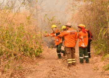 Santa Cruz, Pando y Beni tienen incendios activos.