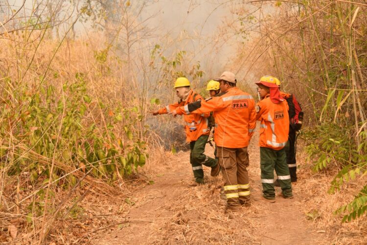 Santa Cruz, Pando y Beni tienen incendios activos.