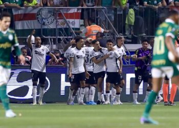 Botafogo empata 2-2 con Palmeiras en un gran duelo y avanza a cuartos de Libertadores