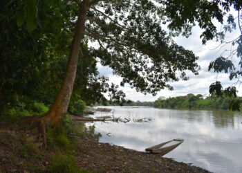 El Gobierno declara Parque Nacional y Área Protegida a la reserva El Choré