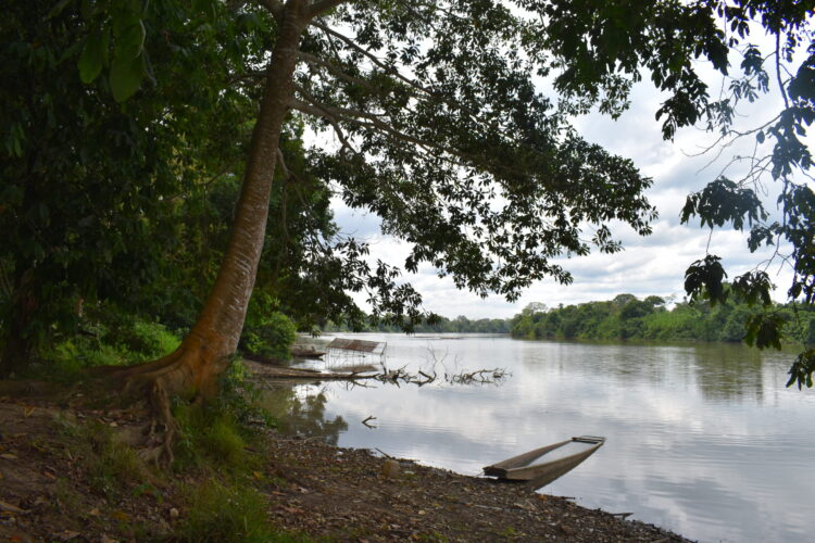 El Gobierno declara Parque Nacional y Área Protegida a la reserva El Choré
