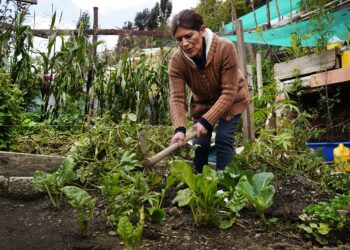 Cortometraje celebra 10 Años de agricultura urbana en el Huerto Orgánico Lak’a Uta.