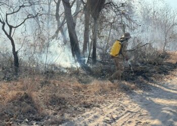 Se sofocaron 35 incendios forestales y solo queda uno activo en Santa Cruz