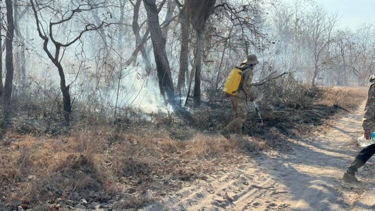 Se sofocaron 35 incendios forestales y solo queda uno activo en Santa Cruz