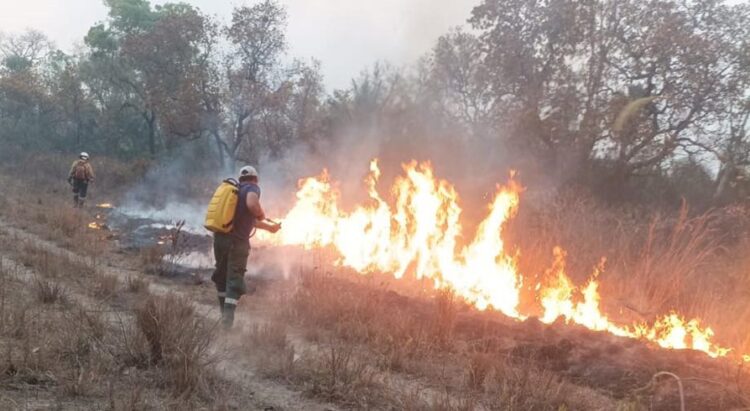 Nuevo récord de focos de calor; se reportan incendios en tres departamentos