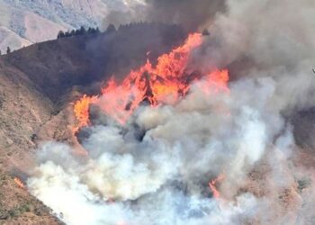 Incendio forestal deja tres heridos y 3.877 hectáreas de bosque quemadas en Ecuador