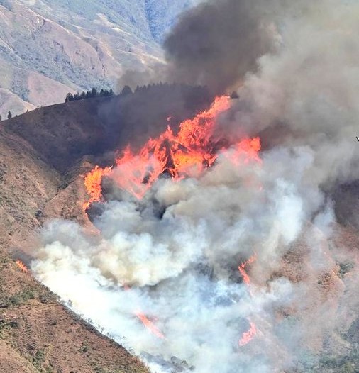 Incendio forestal deja tres heridos y 3.877 hectáreas de bosque quemadas en Ecuador