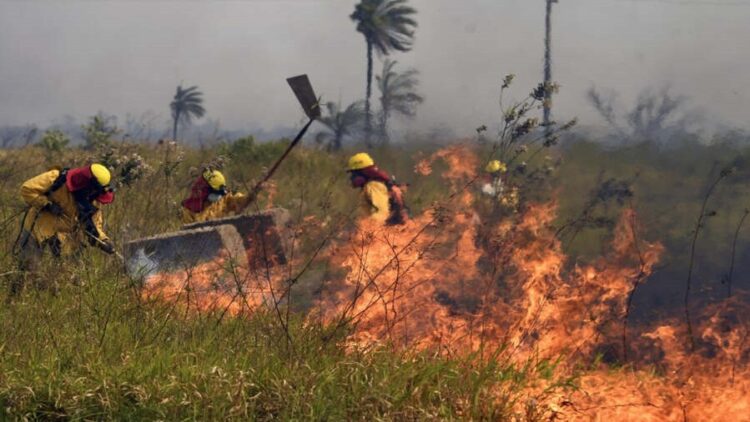 incendios