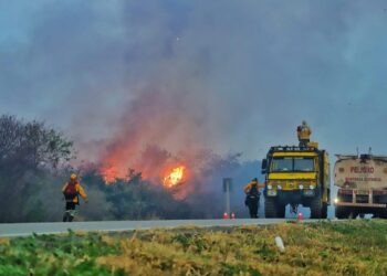 Cisternas y brigadas de salud van a regiones afectadas por los incendios