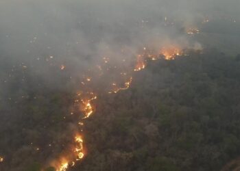 Tres personas reciben detención preventiva y hay 51 procesos penales por los incendios