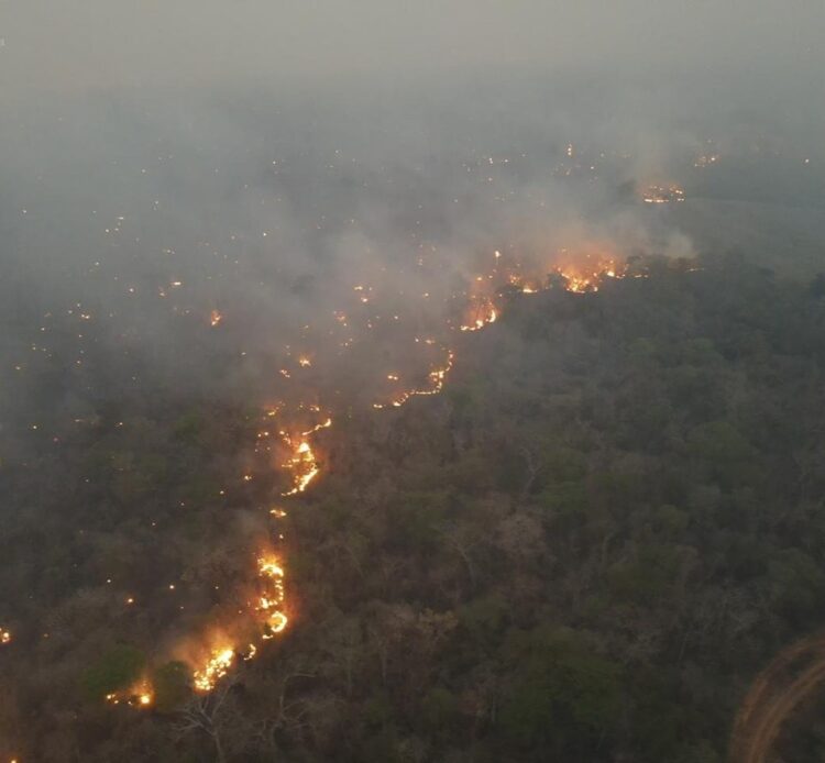 Tres personas reciben detención preventiva y hay 51 procesos penales por los incendios