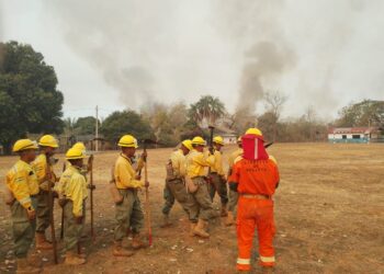 La Defensoría expresa su preocupación y pide celeridad al Estado contra los incendios