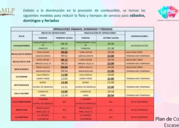 Estas son los horarios de circulación de La Paz Bus.