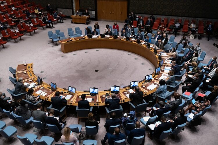 Malí y Burkina Faso reclaman al Consejo de Seguridad de la ONU que impida una intervención militar en Níger