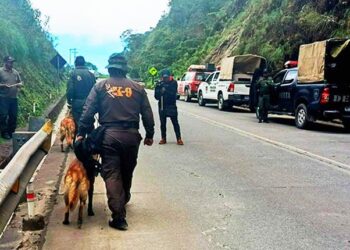 Cuatro meses de la desaparición de Odalys: abogados pedirán una nueva inspección