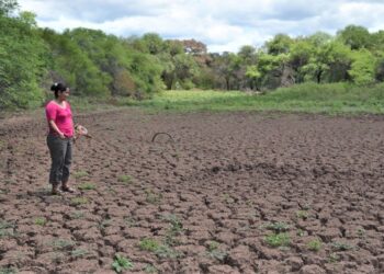 Por las sequías e incendios, 22 municipios cruceños se declaran en emergencia