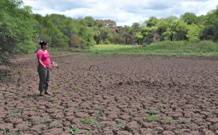Por las sequías e incendios, 22 municipios cruceños se declaran en emergencia