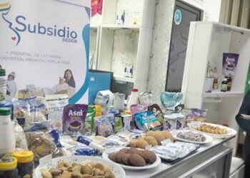 Conozca los 10 nuevos productos del subsidio prenatal
