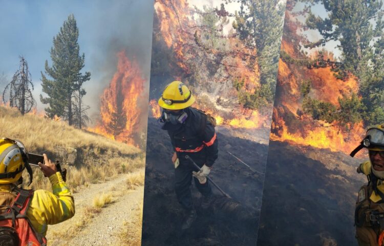 Alarma en Cochabamba por un voraz incendio en el Parque Tunari