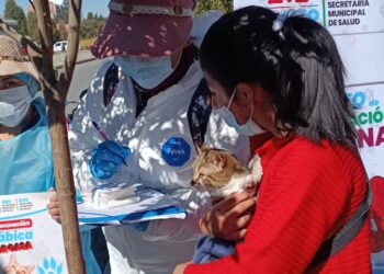 La campaña antirrábica se traslada a las calles de El Alto