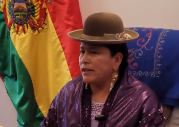 Senadora Velasco cuestiona a Andrónico y dice que Evo fue derrotado en democracia
