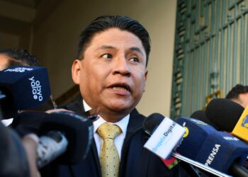 Lima dice que el referéndum sobre reelección no anula el 21F ni la Sentencia 1010/2023