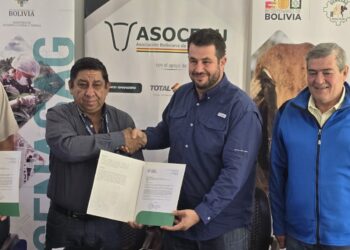 Asocebú