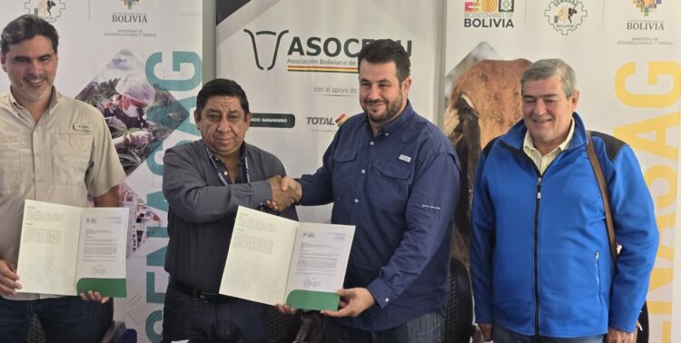 Asocebú