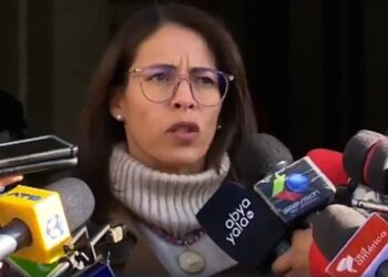Viceministra aclara que Campero ya fue reelecto por la OEA y que la Cancillería solo ratificó la decisión