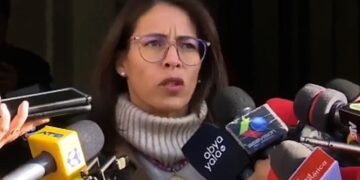 Viceministra aclara que Campero ya fue reelecto por la OEA y que la Cancillería solo ratificó la decisión