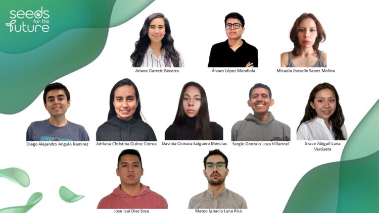 Huawei eligió a los mejores estudiantes para «Semillas para el Futuro»