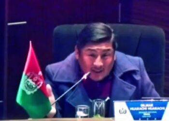 Denuncian a senador del MAS por sesionar en estado de ebriedad