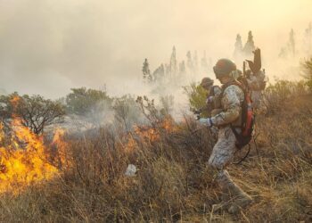 El COED reporta 30 incendios activos en 13 municipios de Santa Cruz