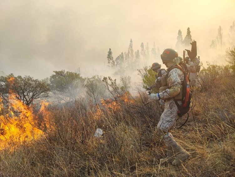 El COED reporta 30 incendios activos en 13 municipios de Santa Cruz