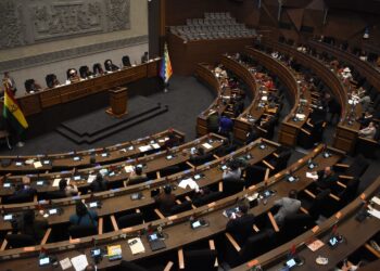 Tras bochorno, la Cámara Baja reinstala la sesión para tratar la eliminación de las primarias