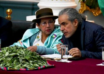 El Estado socializa el examen crítico de la hoja de coca con el cuerpo diplomático acreditado en el país