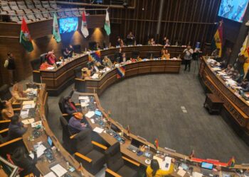 El Senado sanciona la ley que suspende las elecciones primarias