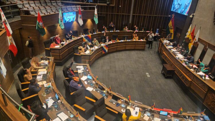 El Senado sanciona la ley que suspende las elecciones primarias