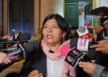 Vocal del TSE pondera aprobación de la ley que suspende las elecciones primarias
