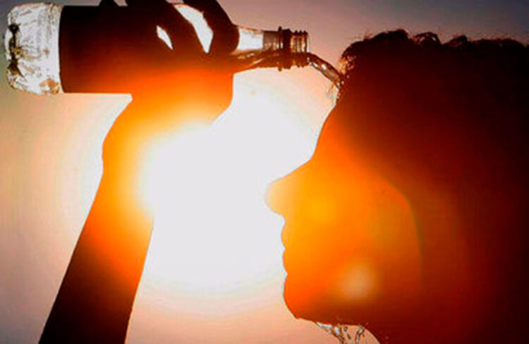 Olas de calor extremo causan más de 175.000 muertos al año en Europa, según la OMS