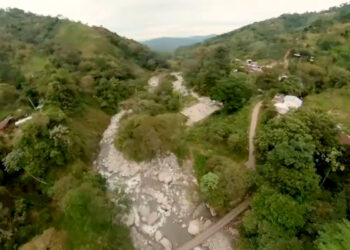 bosque_colombia.jpg