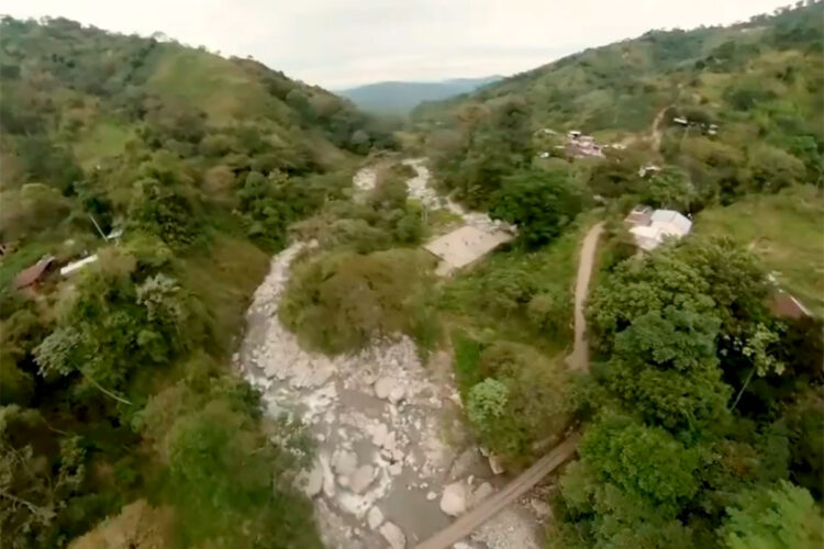 bosque_colombia.jpg