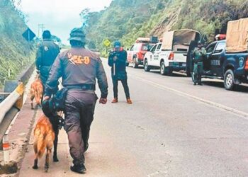 Unidades especializadas de la Policía hicieron la búsqueda.